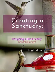 Creating a Sanctuary Designing a Bird–Friendly Garden Habitat