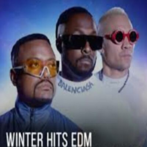 Winter Hits EDM 2025 (2024)