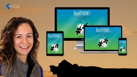 Udemy – Beeffront