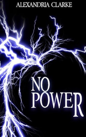 Cover: Alexandria Clarke - No Power (Postapokalyptisches Emp-&Uuml;berleben in einer machtlosen Welt 14)