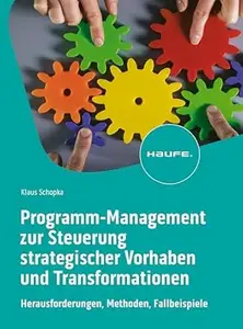 Programm–Management zur Steuerung strategischer Vorhaben und Transformationen