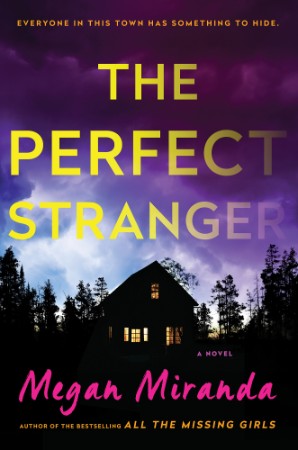 The Perfect Stranger - Megan Miranda