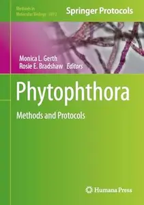 Phytophthora