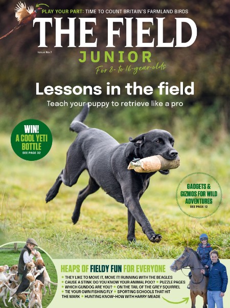 The Field Junior - Issue 2 2024