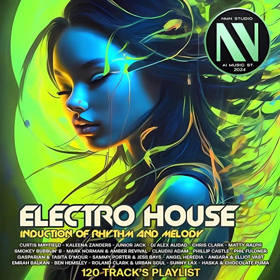 Induction Of Rhythms Electro House