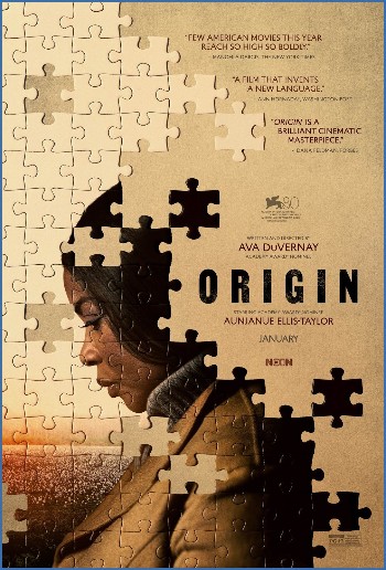 Origin 2023 1080p BluRay x265-SWAXXON