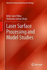 Laser Surface Processing and Model Studies