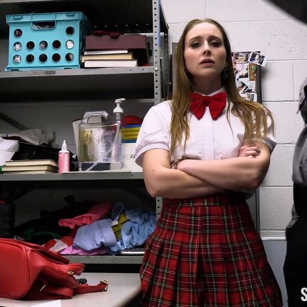 Case No 7906290 : The Virgin Thief : Laney Grey [Shoplyfter/TeamSkeet] (FullHD 1080p)