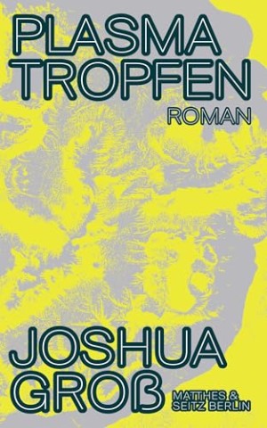Cover: Joshua Gro&szlig; - Plasmatropfen