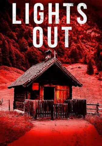 Cover: J.S Donovan - Lights Out (Postapokalyptisches Emp-&Uuml;berleben in einer machtlosen Welt 16)