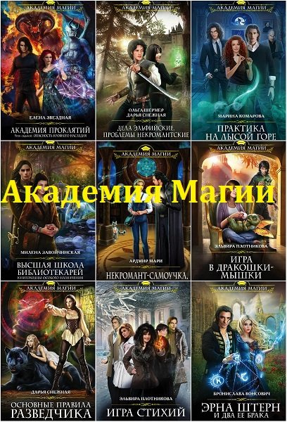 Академия Магии в 211 книгах (2014-2025) FB2