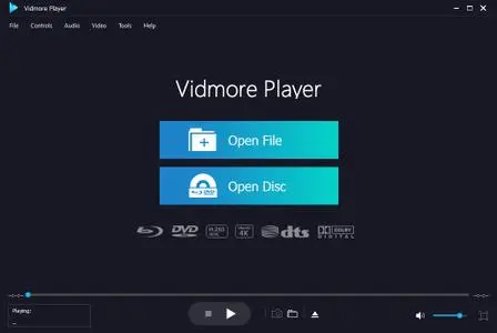 Vidmore Player 1.1.68 Multilingual