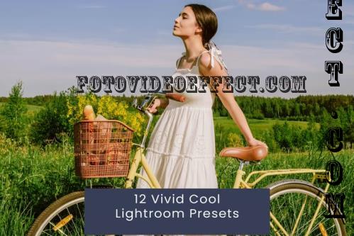 12 Vivid Cool Lightroom Presets - ET9LDC2