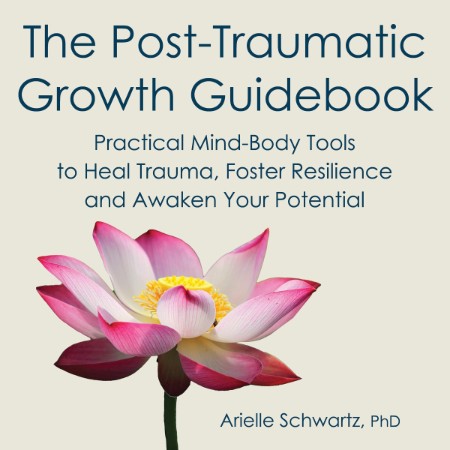 The Post-Traumatic Growth Guidebook - [AUDIOBOOK]