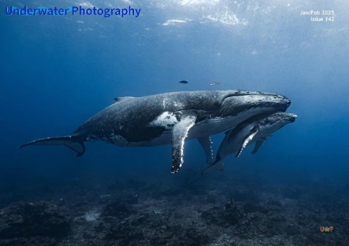 21616996ea86291d4a2829633509168b.jpg
