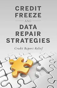 Credit Freeze and Data Repair Strategies