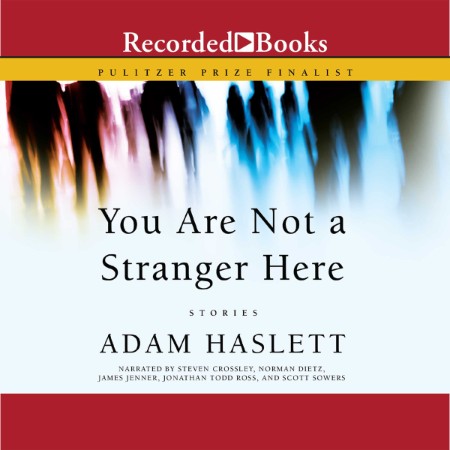 You Are Not a Stranger Here - [AUDIOBOOK]