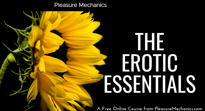 Pleasure Mechanics – The Erotic Essentials Download