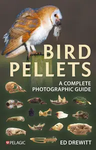 Bird Pellets A Complete Photographic Guide