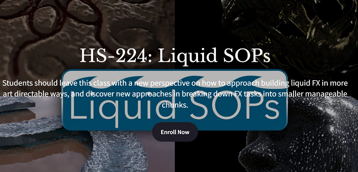 Houdini School: HS–224 – Liquid SOPs