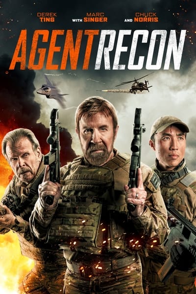 Agent.Recon.2024.German.DL.1080p.WEB.H264-DiVA