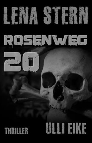 Cover: Ulli Eike - Lena Stern: Rosenweg 20