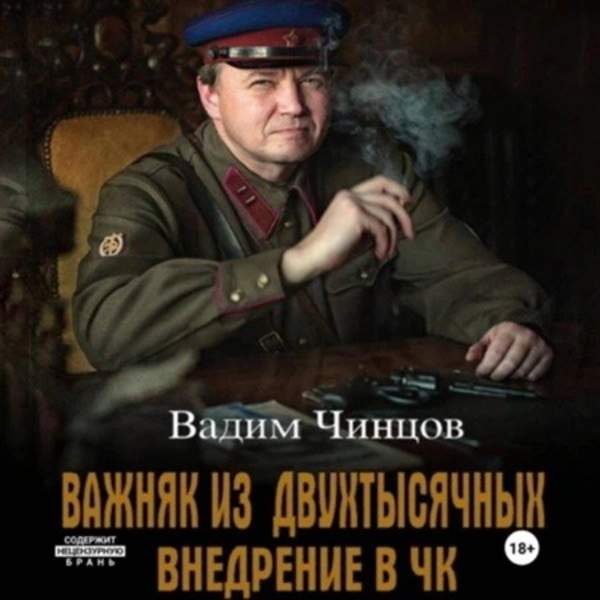 Вадим Чинцов - Важняк из двухтысячных. Внедрение в ЧК (Аудиокнига)