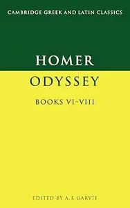 Odyssey, Books VI–VIII