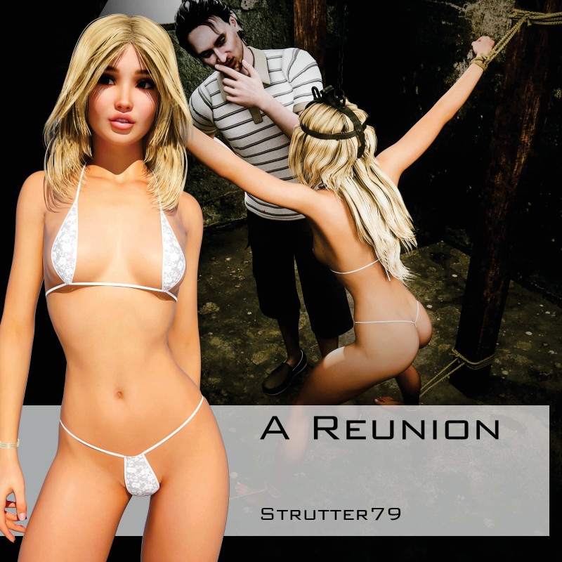 Strutter79 - A reunion - French 3D Porn Comic