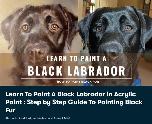 Learn To Paint A Black Labrador in Acrylic Paint : Step by Step Guide To Painting Black Fur