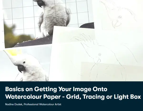 Basics on Getting Your Image Onto Watercolour Paper – Grid, Tracing or Light Box