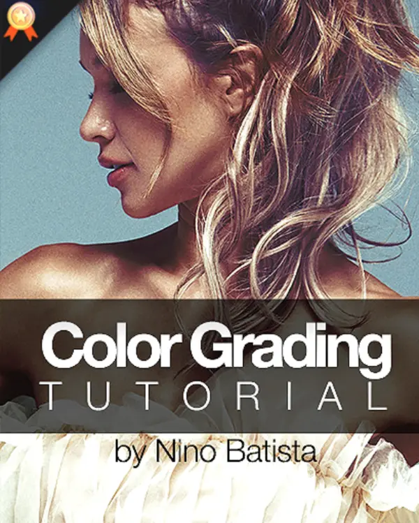 PhotoWhoa – Masterclass: Color Grading Tutorial for Photoshop By Nino Batista