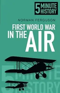 5 Minute History First World War in the Air