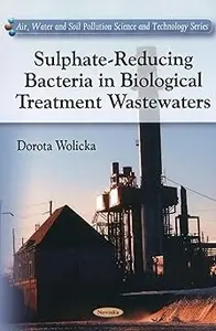 Sulphate–Reducing Bacteria in Biological Treatment Wastewaters