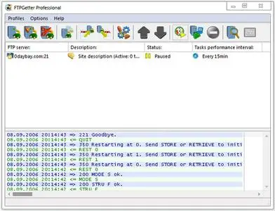 FTPGetter Professional 5.97.0.281 Multilingual