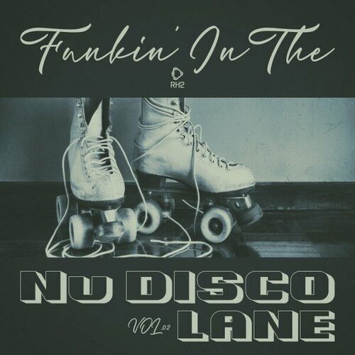 Funkin In The Nu Disco Lane Vol.02 (2025) FLAC