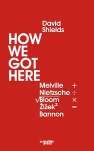 How We Got Here Melville Plus Nietzsche Divided by the Square Root of (Allan) Bloom Times Žižek (Squared) Equals Bannon