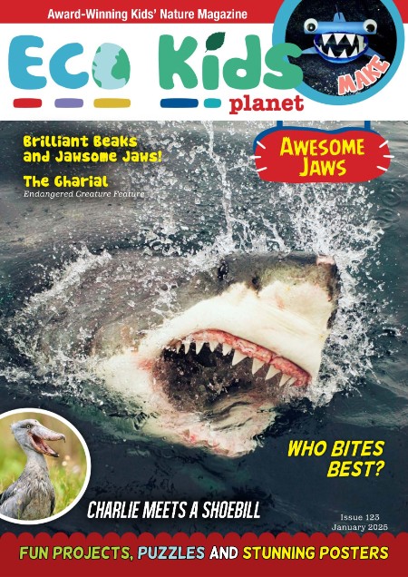 Eco Kids Planet Magazine - January 2025