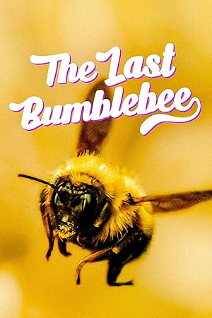 The Last Bumblebee (2024) 1080p WEB H264-CBFM