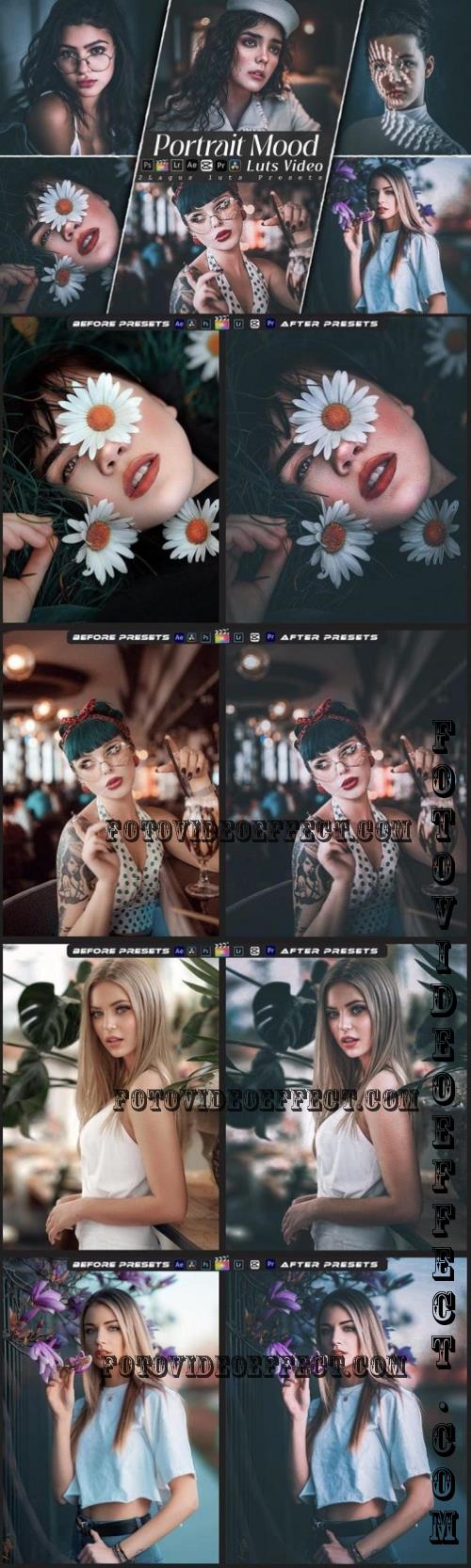 Portrait Mood Lightroom Preset & Luts Premiere Pro - CXE8XL3