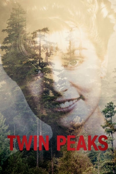Twin Peaks S02E06 Demons 720p HEVC x265-MeGusta
