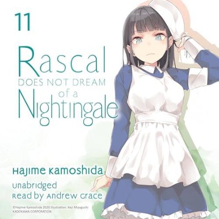 Rascal Does Not Dream of a Nightingale (light novel) - [AUDIOBOOK]