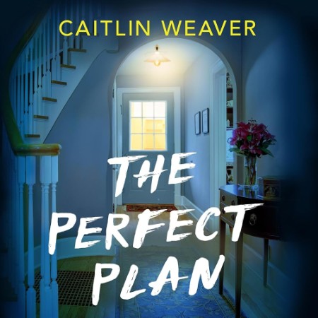 The Perfect Plan - [AUDIOBOOK]