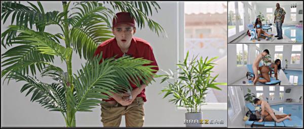 Victoria Cakes - Smashing The Pool Noodler - [HDPorn] - 2025 (FullHD 1080p)