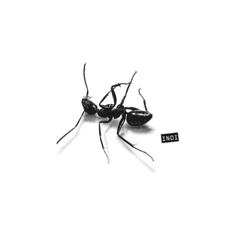 Gazzelle - Indi (2025)