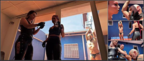 Latin Beauties In High Heels - BQ The Bootsqueen Teaching Her Sub Ariadny To Whip A Male Slave - [Clips4Sale] - 2025 (HD 720p)