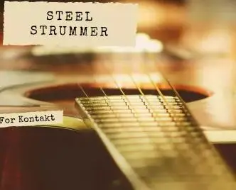 PastToFutureReverbs Steel Strummer For Kontakt! KONTAKT