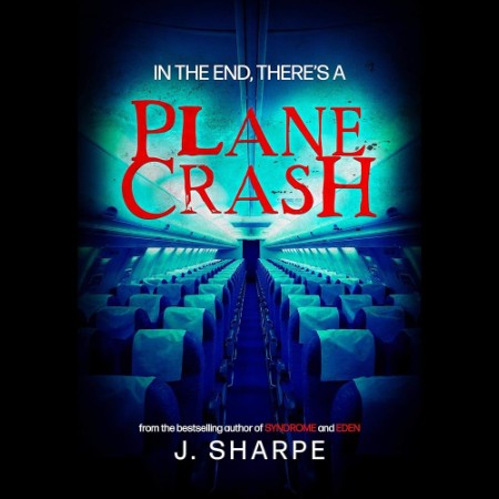 In the end, there's a plane crash - [AUDIOBOOK]