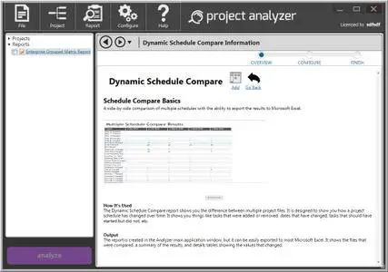 Steelray Project Analyzer 7.19