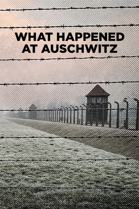 What Happened at Auschwitz (2025) 1080p WEBRip x264-CBFM